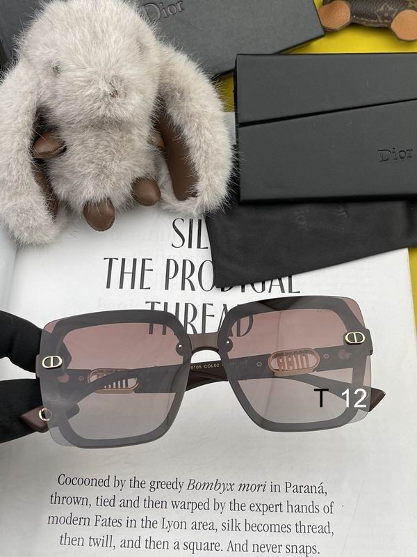 DIOR Sunglasses 395